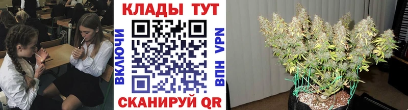 Где найти наркотики Богородск Cocaine МЕФ кракен маркетплейс Кетамин ГАШИШ А ПВП