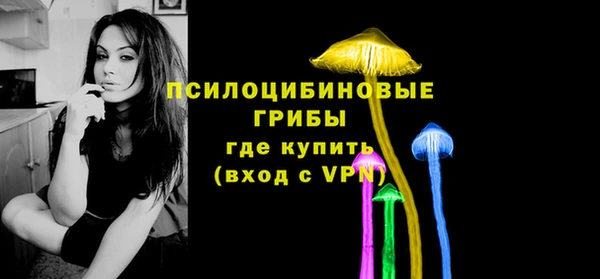 амф Алексин