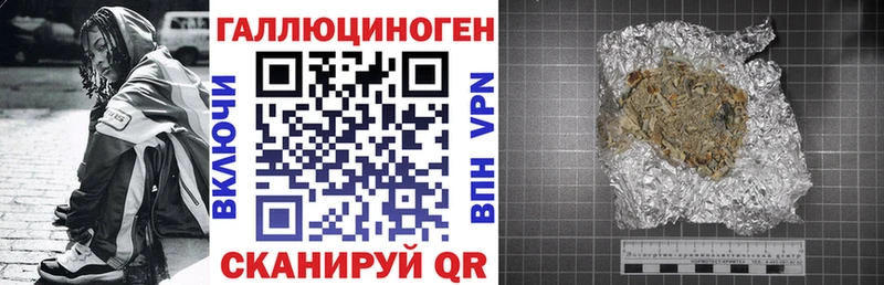 Псилоцибиновые грибы Psilocybe  как найти   Богородск 