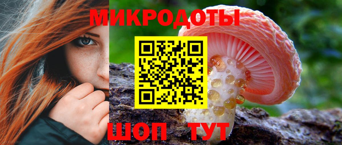 Псилоцибиновые грибы мицелий Богородск