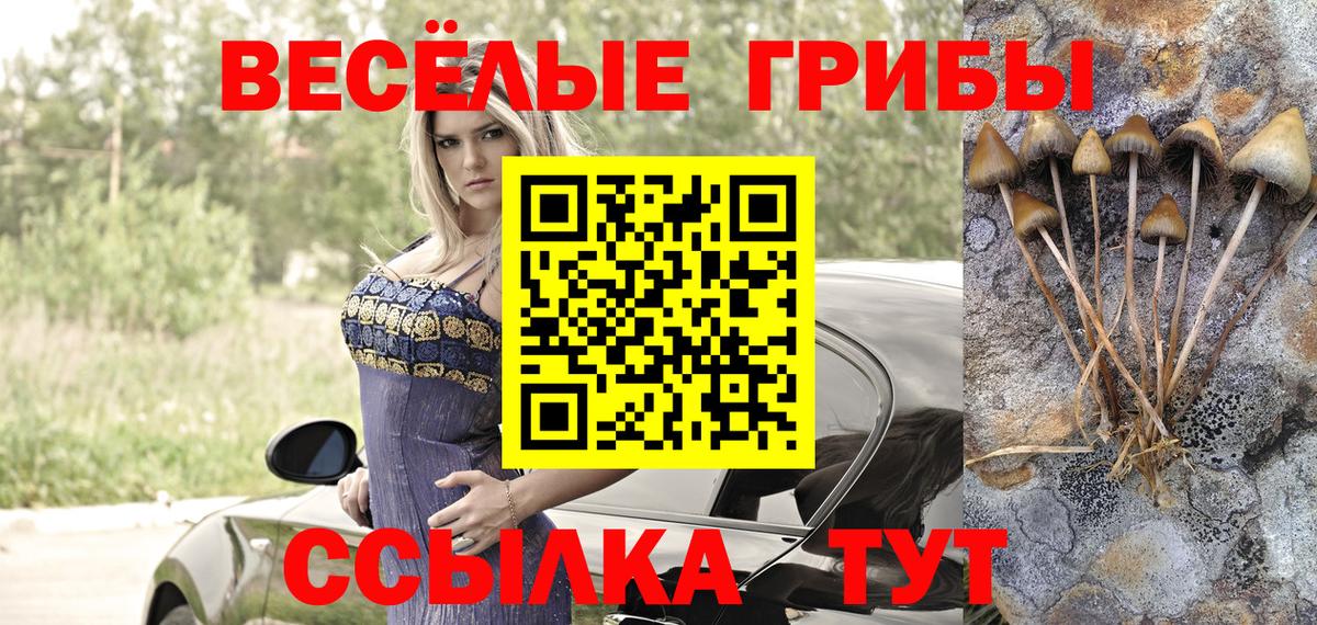 Галлюциногенные грибы ЛСД  как найти закладки  Богородск  Вход с VPN 